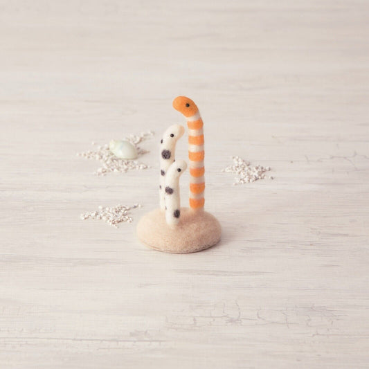Hamanaka Needle Felting Kit : Crafting Western conger eel ＆Chinese conger eel