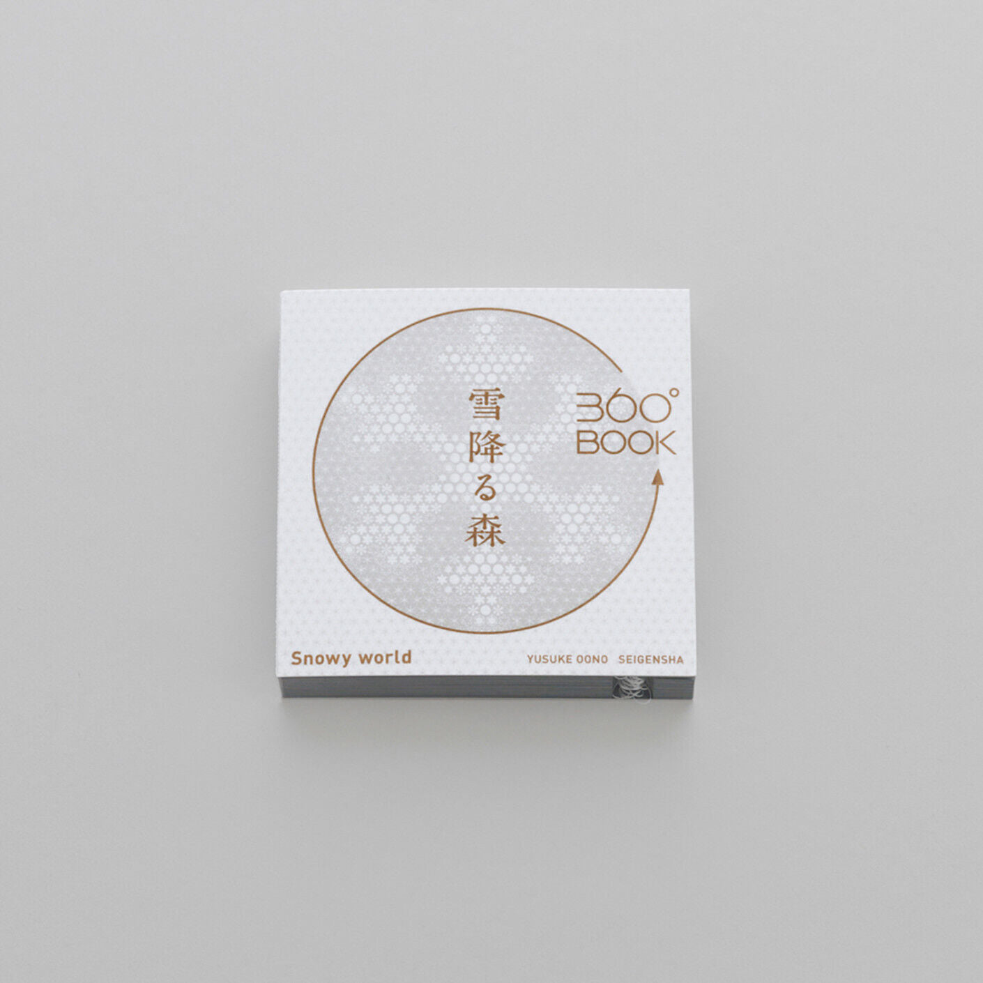 Seigensha : The 360°BOOK Snowy Forest Diorama Pop Up Art Book.